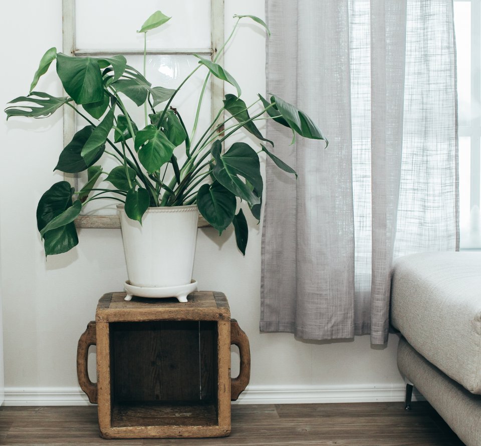 Simons Talo - Simons Hus